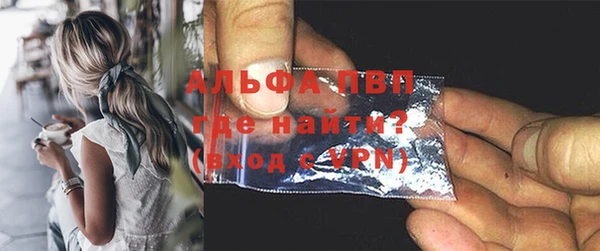 крисы Ельня