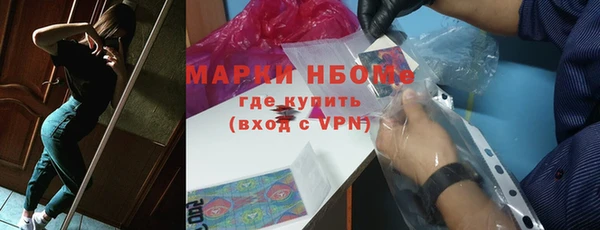 крисы Ельня