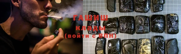 крисы Ельня