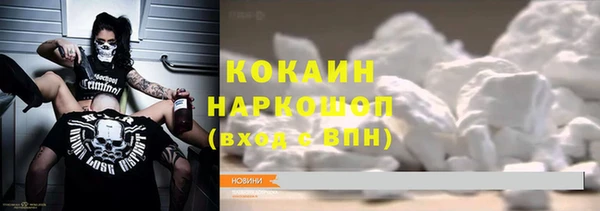 крисы Ельня