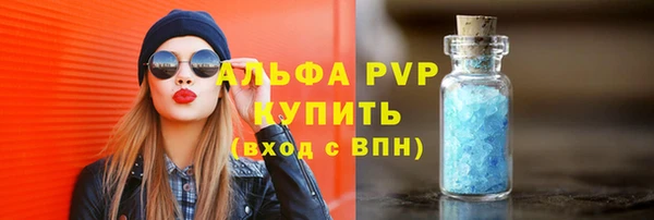 крисы Ельня