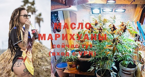 крисы Ельня