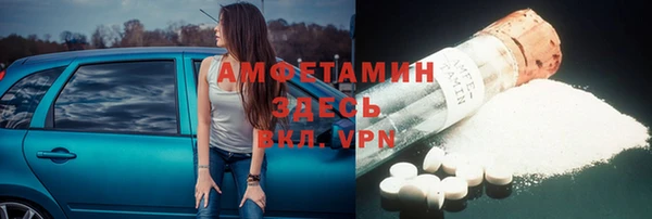 шишки Елизово