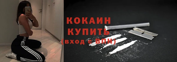 шишки Елизово