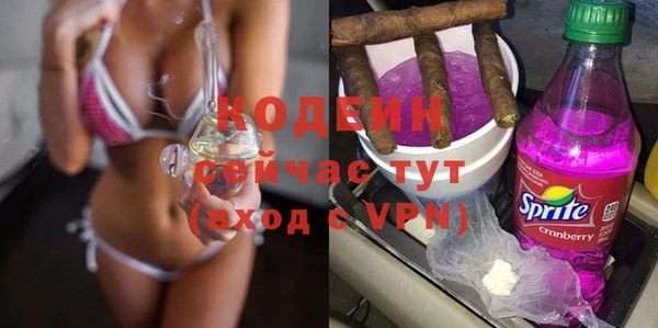 крисы Ельня