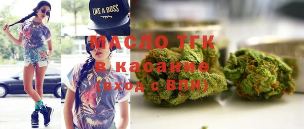 крисы Ельня