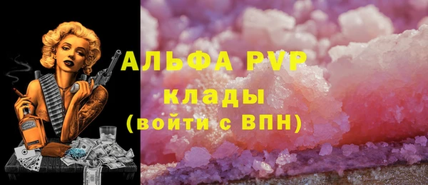 шишки Елизово