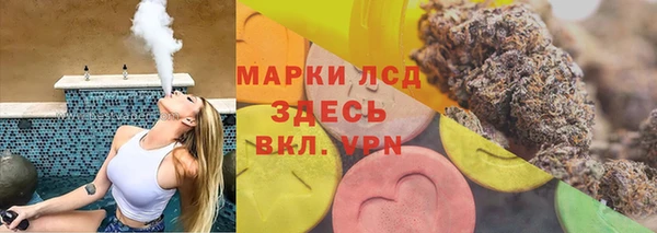 крисы Ельня