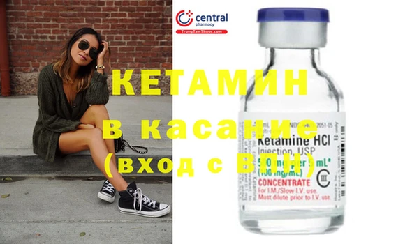 крисы Ельня