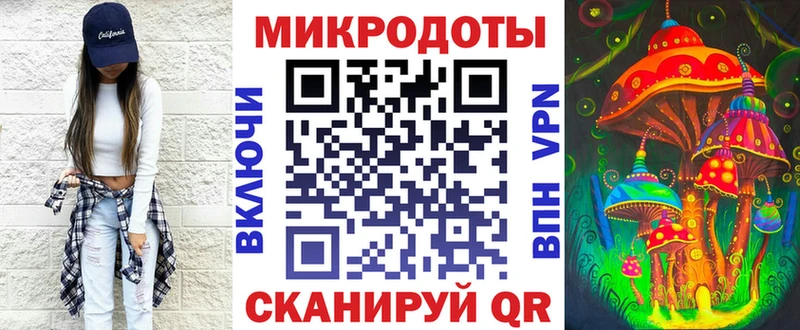 Псилоцибиновые грибы Psilocybe  Рудня 